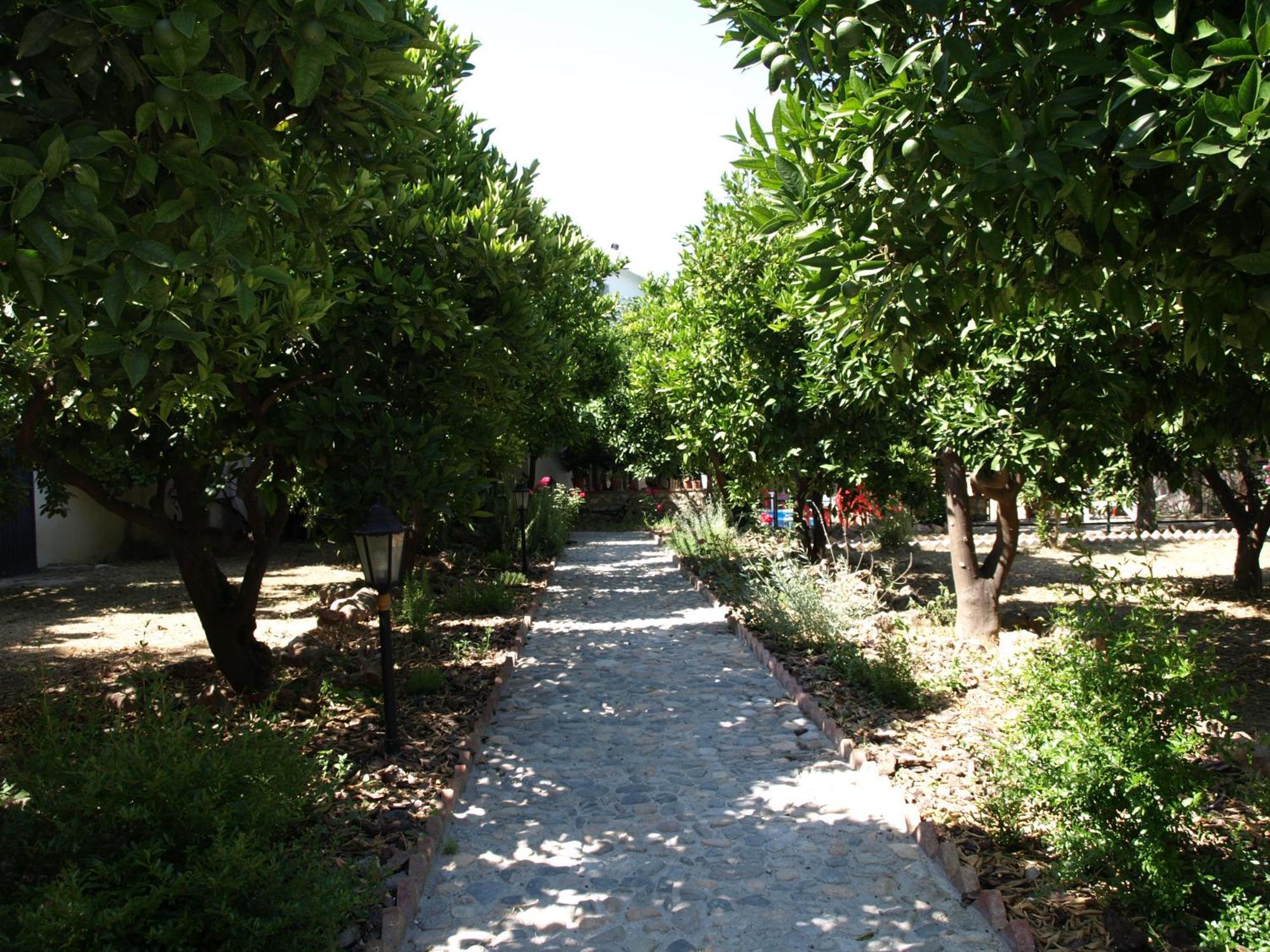 La Despensa Del Valle Restábal Dış mekan fotoğraf